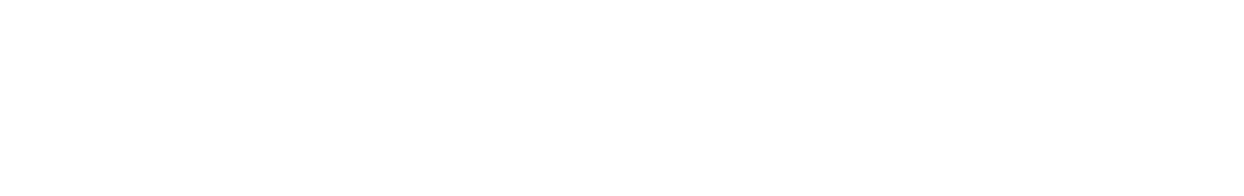 Vector Optics